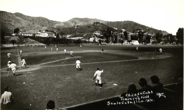 cubs_catalina_1.jpg