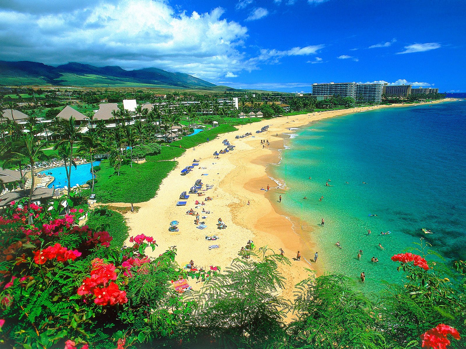 Kaanapali-Beach-Maui-Hawaii.jpg