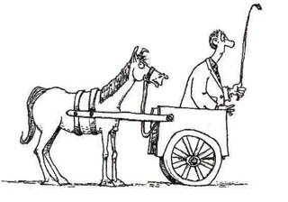 cart-before-the-horse.jpg