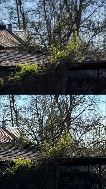 ultra-gcam-vs-14pro.jpg