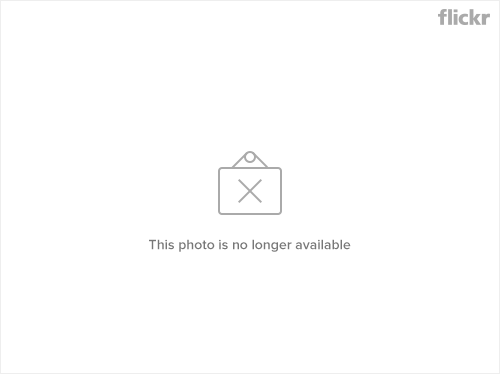 511280334_2401d8610a_o.png