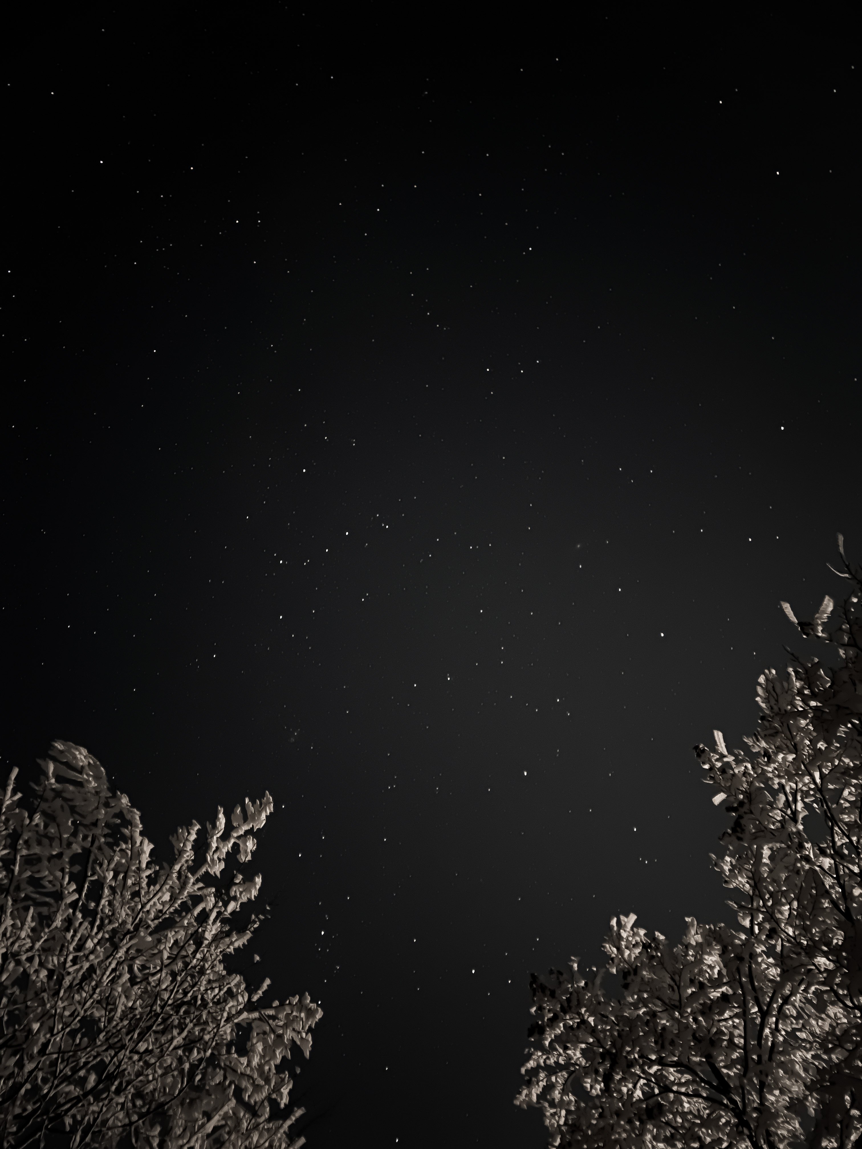 d69221aab920aa4b72d0bad2ed14284b.jpg