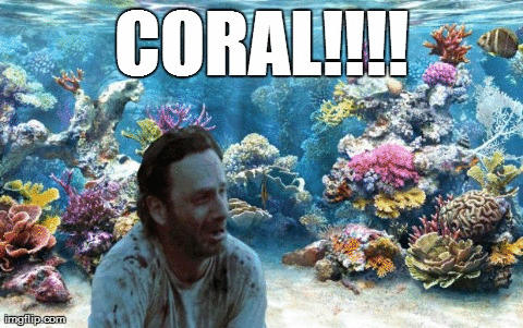 coral.gif
