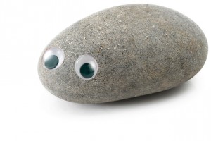 Pet-Rock-11-300x200.jpg