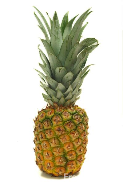 09_08_58---Fruit-Pineapple_web.jpg