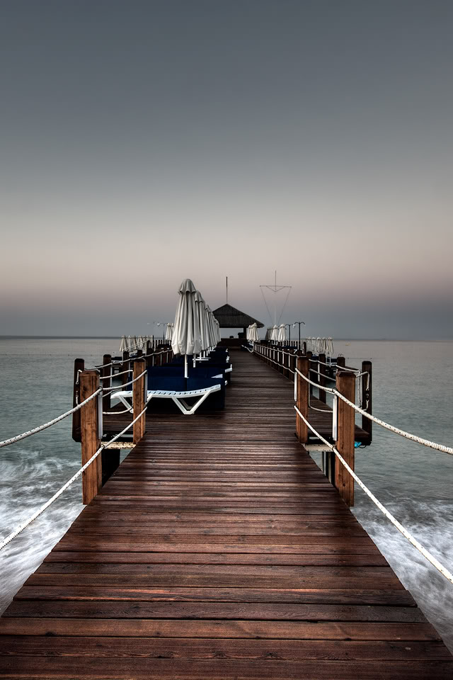 02614_greydawn_640x960.jpg