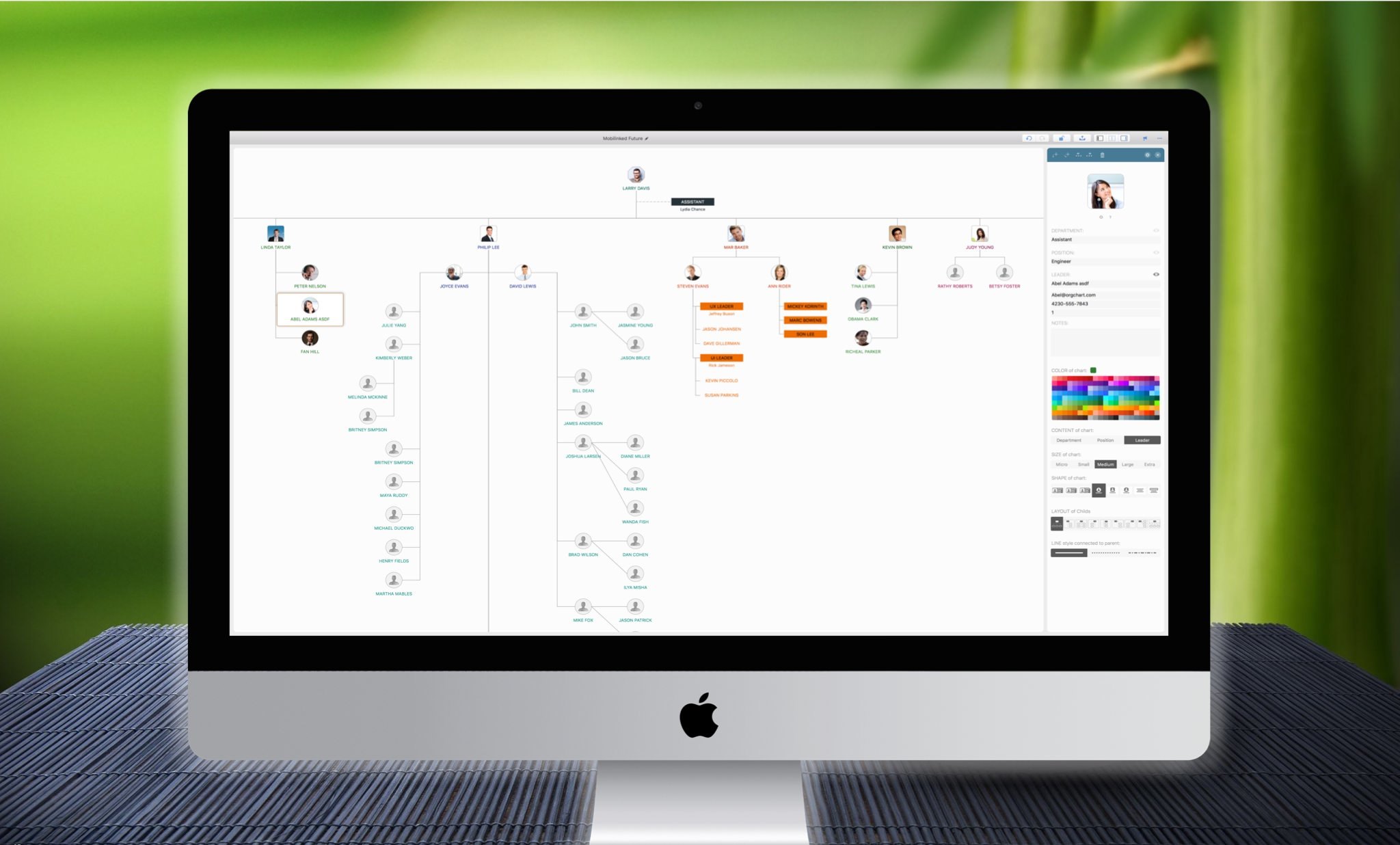 OrgChartMacOSMockup3.jpg