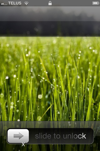 img0404sx.jpg