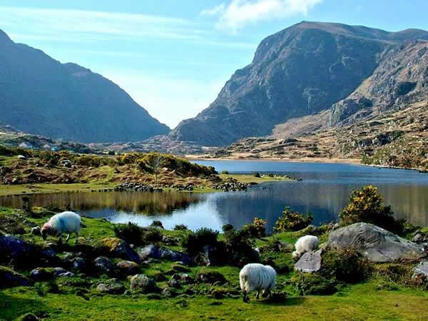 ireland-county-kerry-killarney-national-park-lake-mountain.jpg