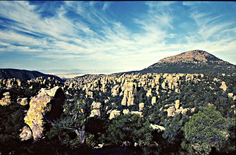 chiricahua.jpg