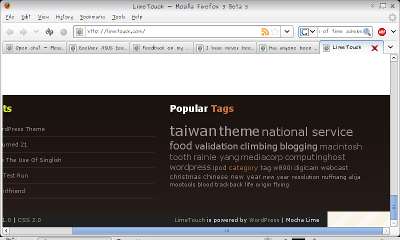 20080415-wordpress2.png