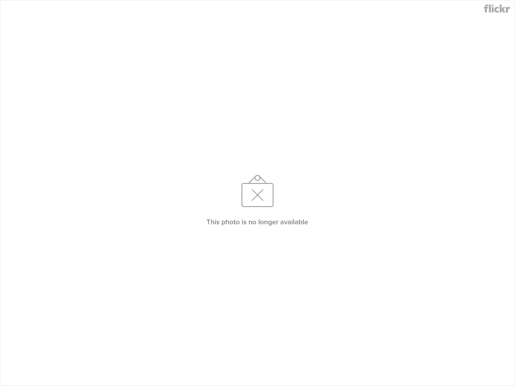 4532835966_43d6a846c6_b.jpg