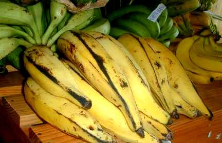 plantain2.jpg