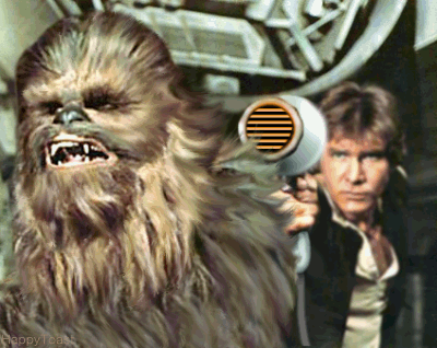 sw-wookie.gif