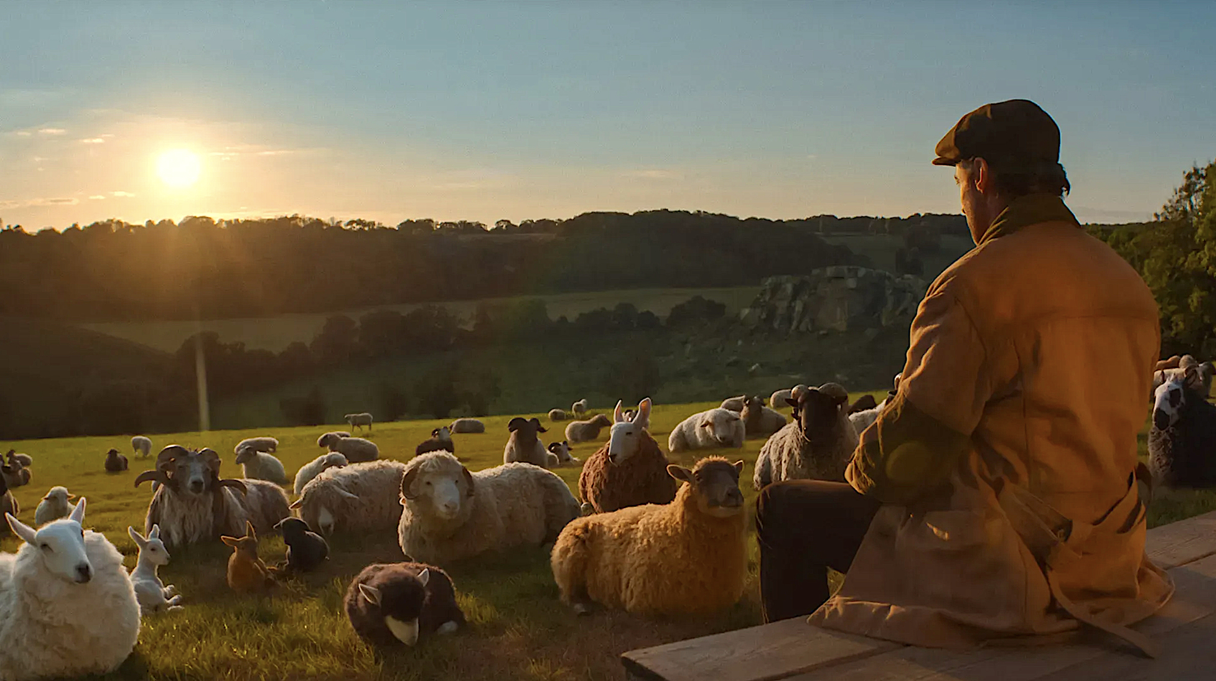 Sheep_Detectives.jpg
