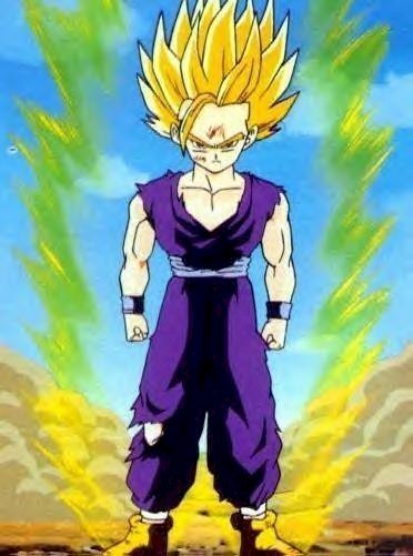 ssj2-gohan-gohan-13901577-372-501.jpg