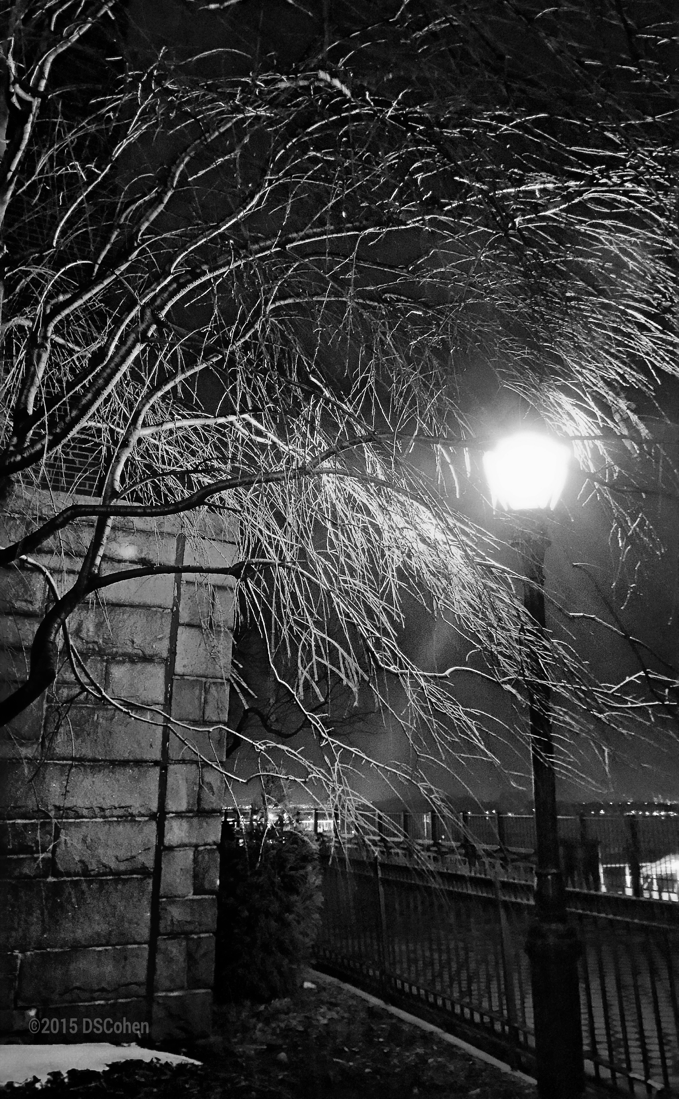 wpid-treeeatslamp-picsay.jpg