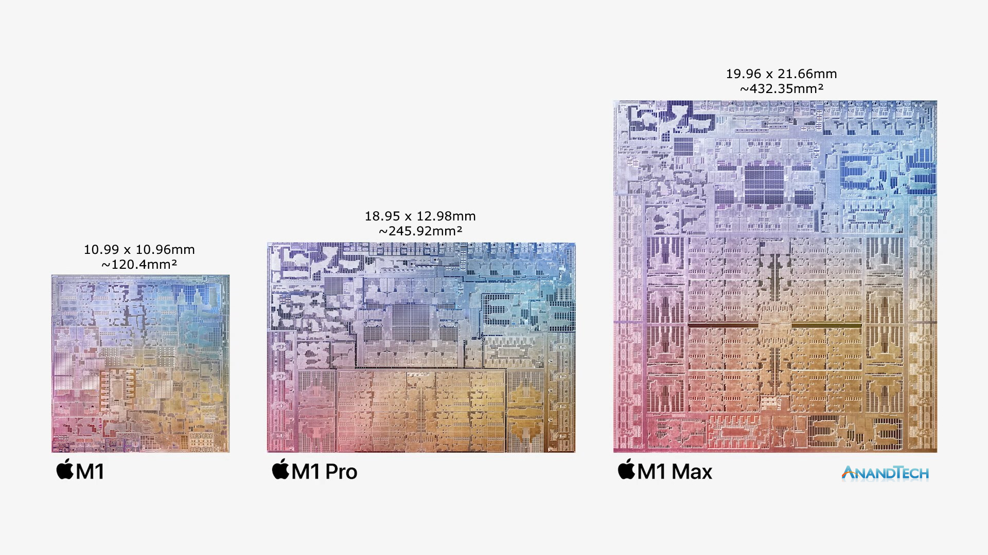 Die-Sizes.jpg