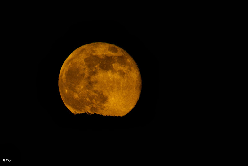 Supermoon%25202013-6146.jpg