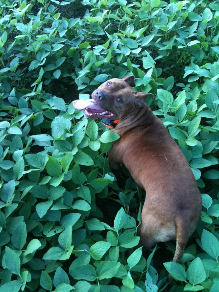 iPhoneUpload-2.jpg
