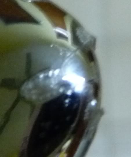 P1020138.jpg