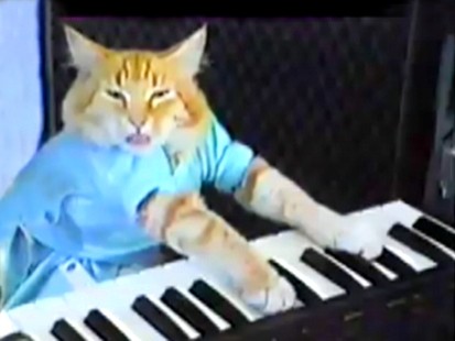 abc_cat_piano_090508_ms.jpg