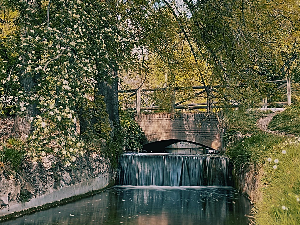 51108289265_6e19391f8d_b.jpg