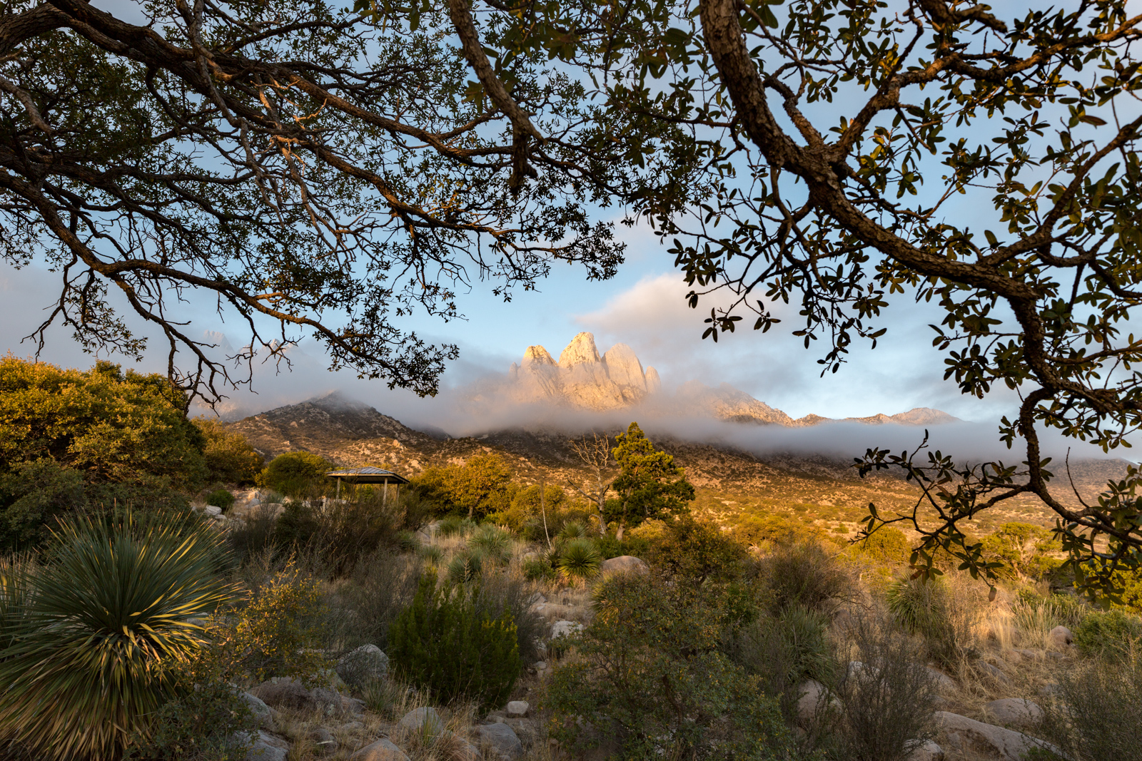 organ_mountains.jpg