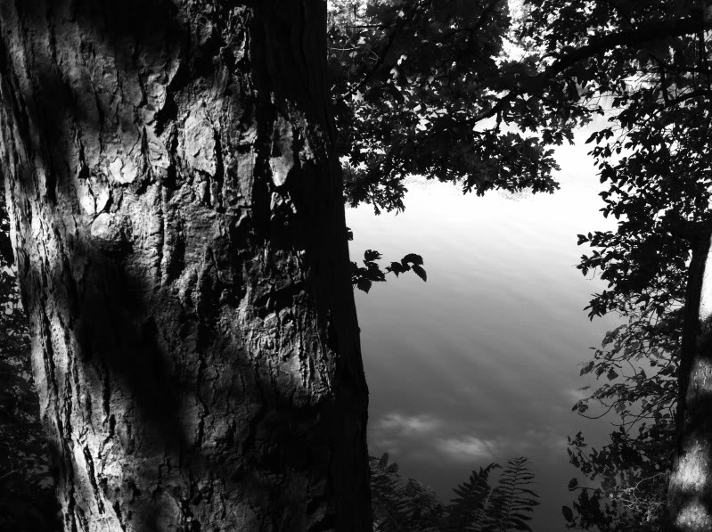 photo22.jpg