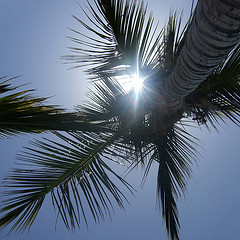 6976984727_2ed2afaae5_m.jpg
