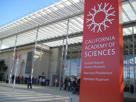 california-academy-of-sciences.jpg