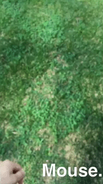 9qEeUPC.gif