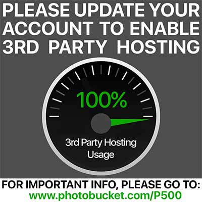 IMG_0131.png