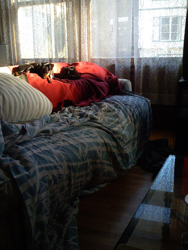 NapTime.jpg