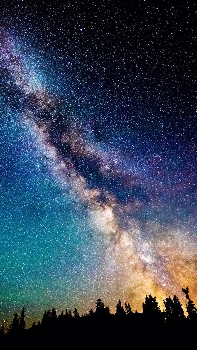 b81x6q.jpg