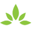 avantree.com