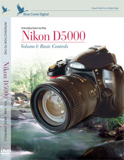 Nikon-D5000-.jpg