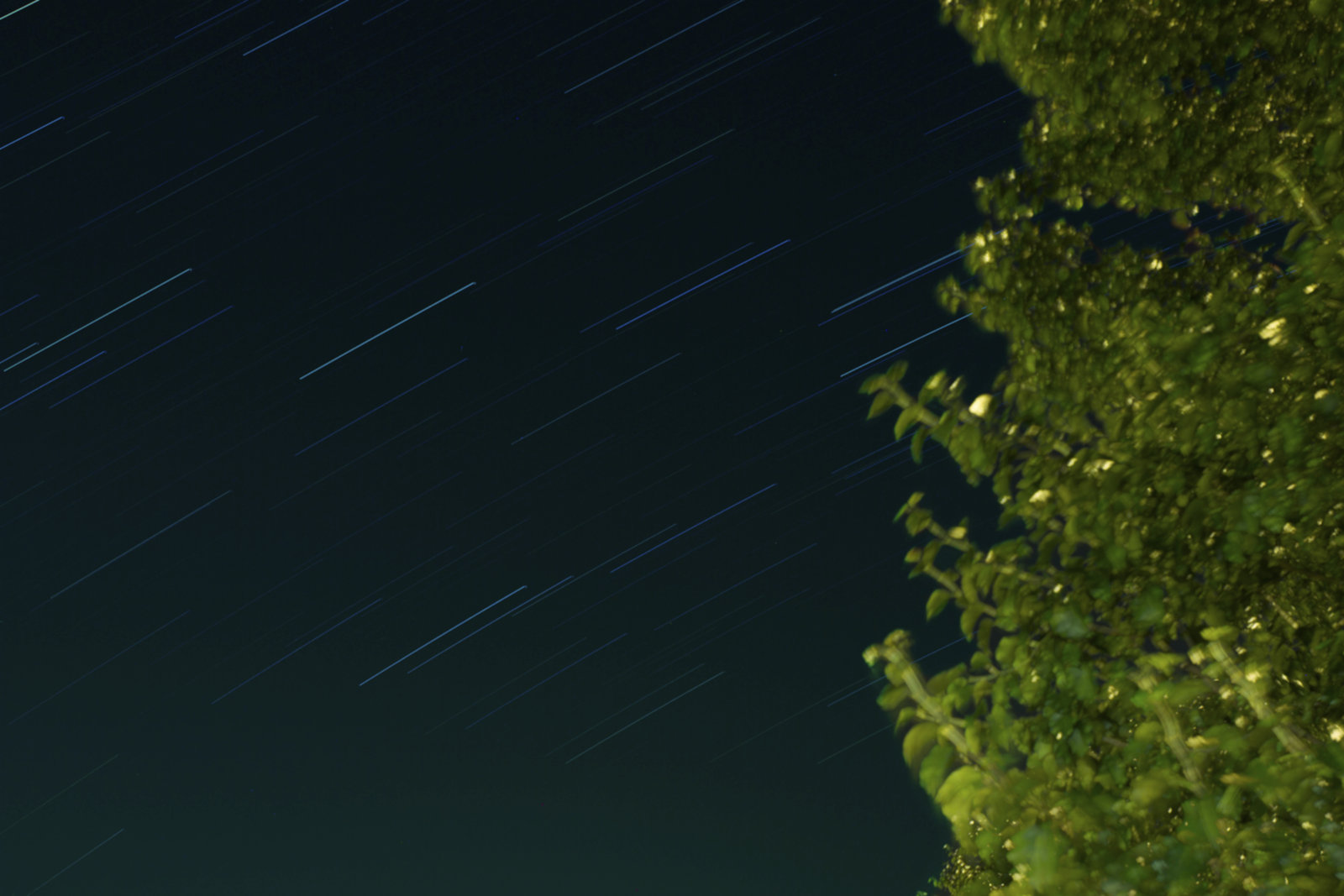 star_trails_2_by_alphaintercept-d51ma0f.jpg