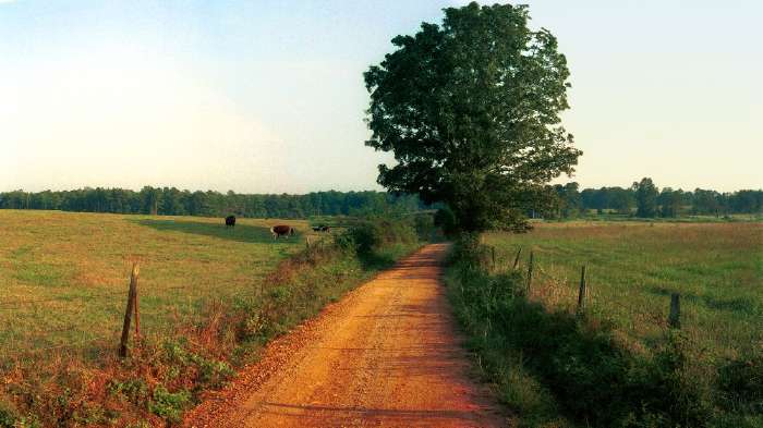 Senoia-Farm-Dirt-Road.jpg