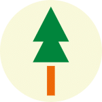 www.baumwipfelpfade.de
