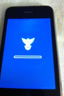 iphone3gs1.jpg