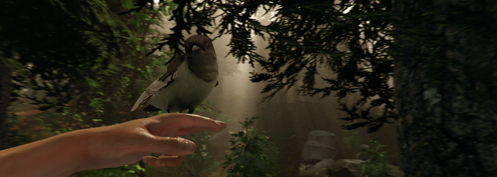 Birdhand.png