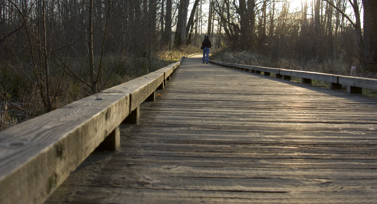 boardwalk1.jpg