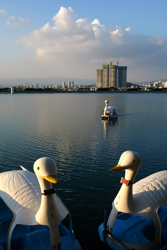 DuckBoatsEvening.jpg