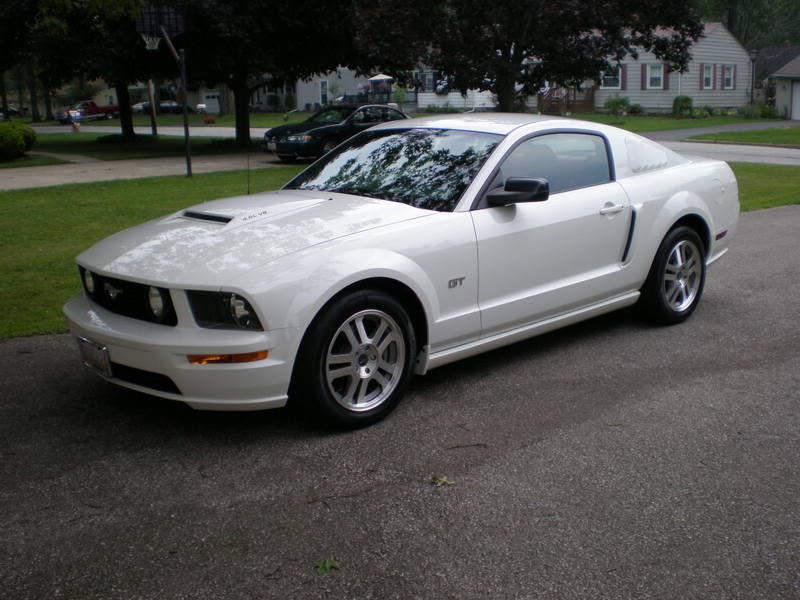 Mustang7-20081.jpg