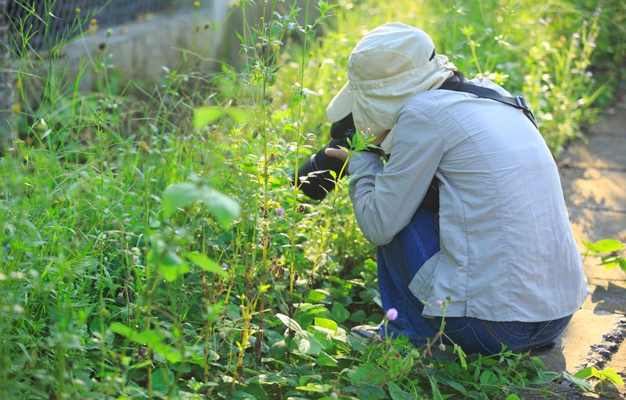 www.borrowlenses.com
