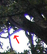 c700ir2.jpg