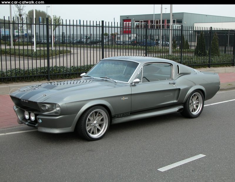 1294228557_ford_shelby_mustang_gt500_profus1on.jpg