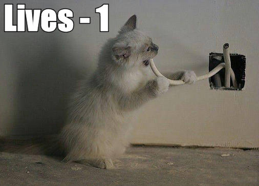 lives-minus-one.jpg