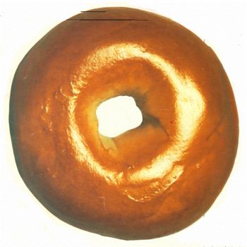 authentic-new-york-bagel.gif